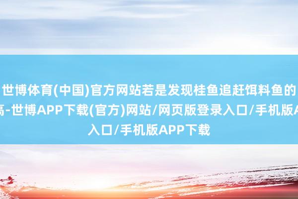 世博体育(中国)官方网站若是发现桂鱼追赶饵料鱼的频率较高-世博APP下载(官方)网站/网页版登录入口/手机版APP下载