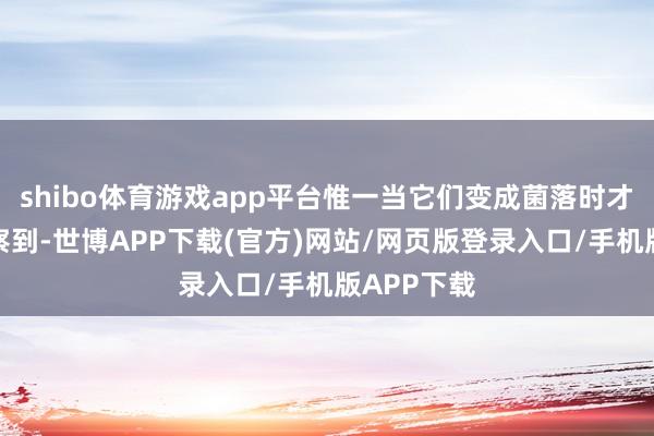 shibo体育游戏app平台惟一当它们变成菌落时才智被不雅察到-世博APP下载(官方)网站/网页版登录入口/手机版APP下载