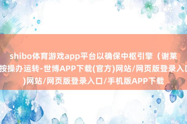 shibo体育游戏app平台以确保中枢引擎（谢莱夫特奥工场）不错按操办运转-世博APP下载(官方)网站/网页版登录入口/手机版APP下载