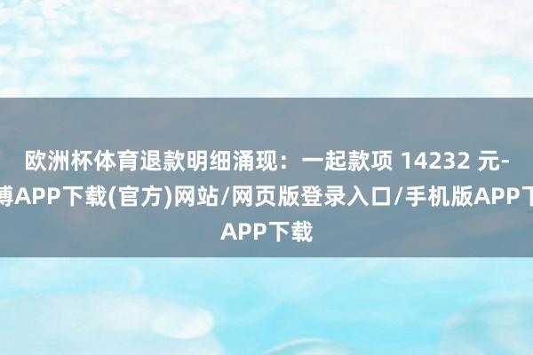 欧洲杯体育退款明细涌现：一起款项 14232 元-世博APP下载(官方)网站/网页版登录入口/手机版APP下载