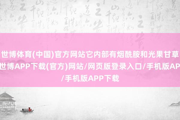 世博体育(中国)官方网站它内部有烟酰胺和光果甘草隐私-世博APP下载(官方)网站/网页版登录入口/手机版APP下载