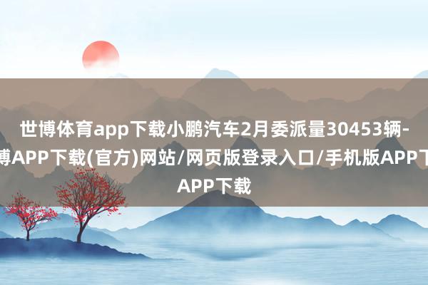 世博体育app下载小鹏汽车2月委派量30453辆-世博APP下载(官方)网站/网页版登录入口/手机版APP下载