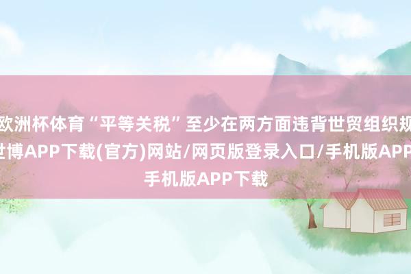 欧洲杯体育“平等关税”至少在两方面违背世贸组织规矩-世博APP下载(官方)网站/网页版登录入口/手机版APP下载